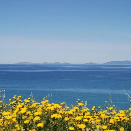 La Vela Blu *